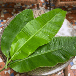 Renu Dalal blogs